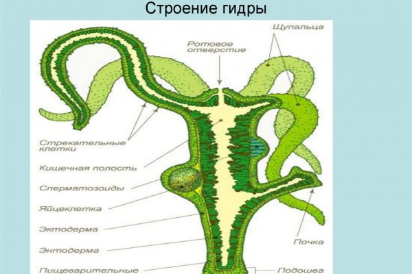 Кракен даркнет не работает