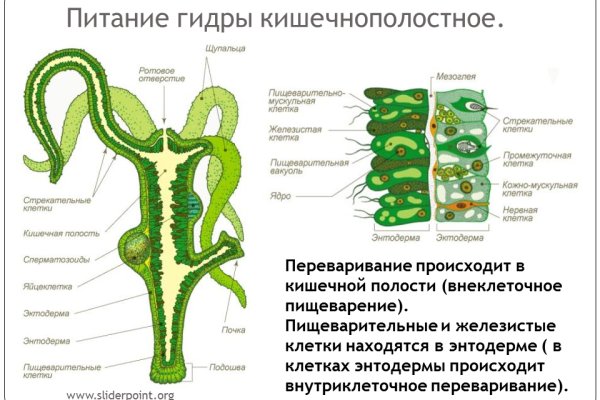 Кракен аватарка маркетплейс