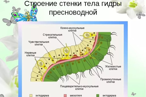 Кракен онион ссылки