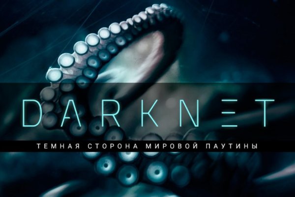 Kraken что это за магазин