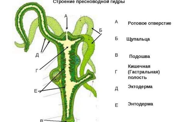 Кракен рабочая ссылка тор