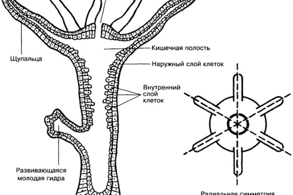 Кракен зеркало